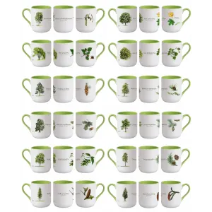 Zestaw 12 kubków do kawy i herbaty 290 ml - Wyjątkowy zestaw DR