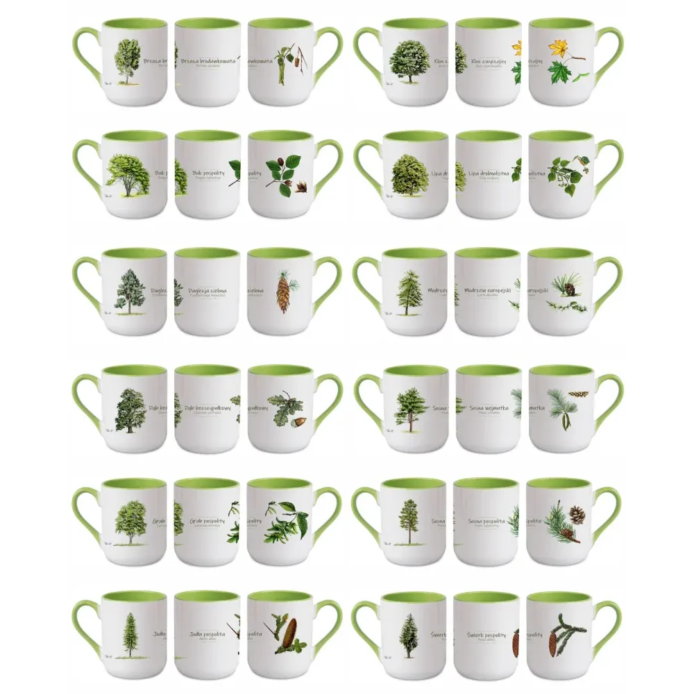 Zestaw 12 kubków do kawy i herbaty 290 ml - Wyjątkowy zestaw DR