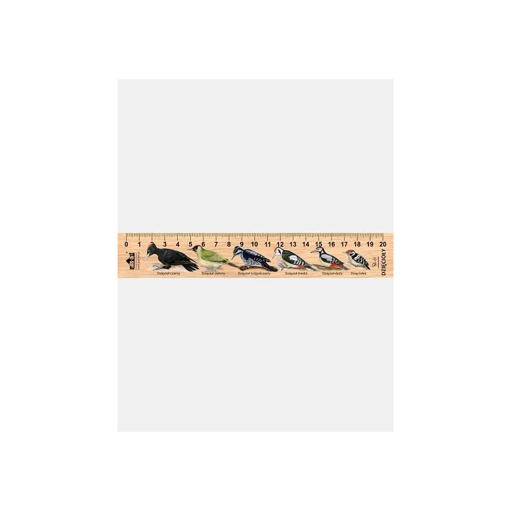 Linijka drewniana DZIĘCIOŁY - Idealna dla miłośników natury!