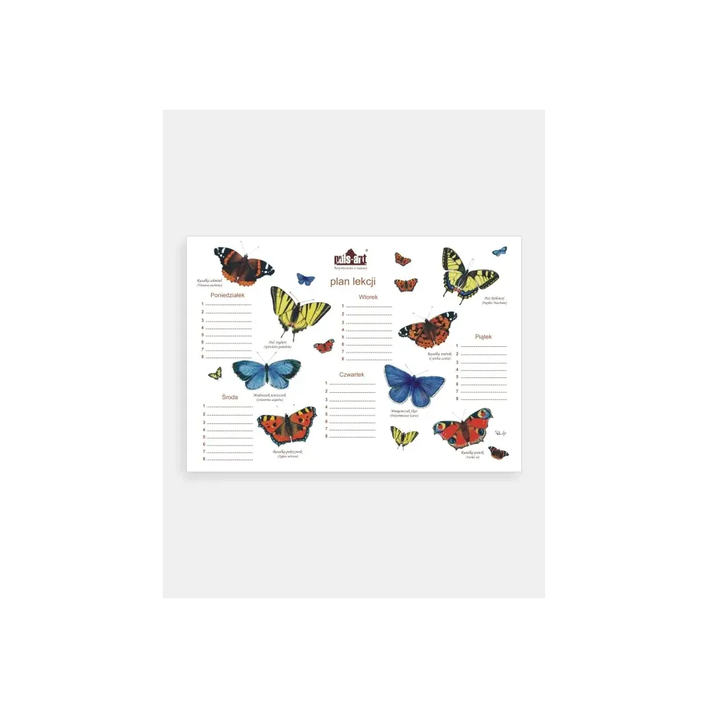 Plan lekcji MOTYLE - Kreatywny sposób na naukę