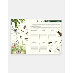 Kreatywny plan lekcji OWADY | Edukacyjne materiały dla dzieci