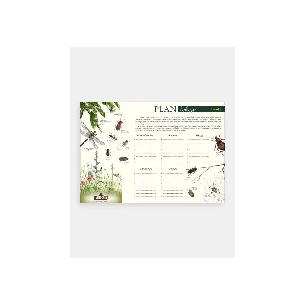 Kreatywny plan lekcji OWADY | Edukacyjne materiały dla dzieci