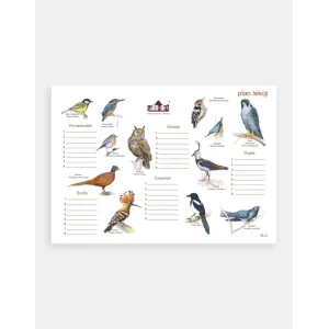 Plan lekcji PTAKI - Odkryj fascynujący świat ptaków!