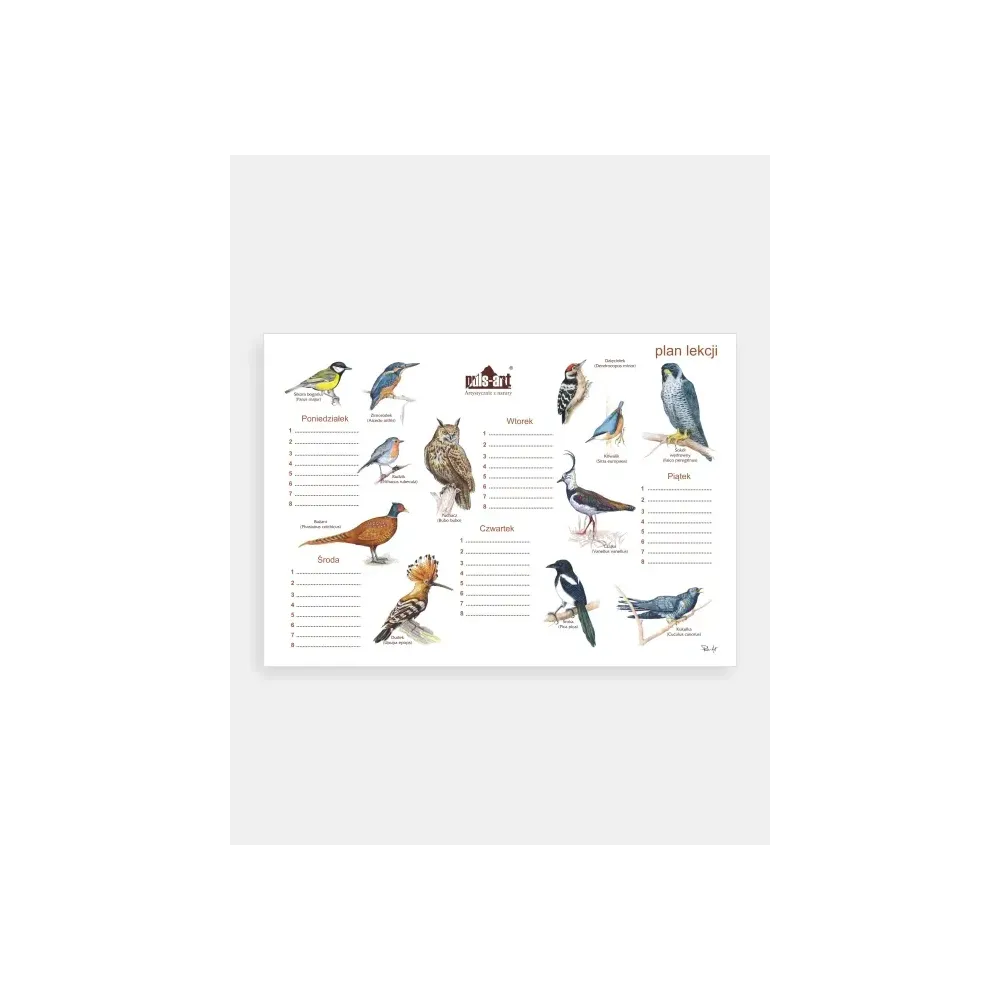 Plan lekcji PTAKI - Odkryj fascynujący świat ptaków!