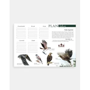 Plan lekcji PTAKI DRAPIEŻNE - Odkryj fascynujący świat ptaków