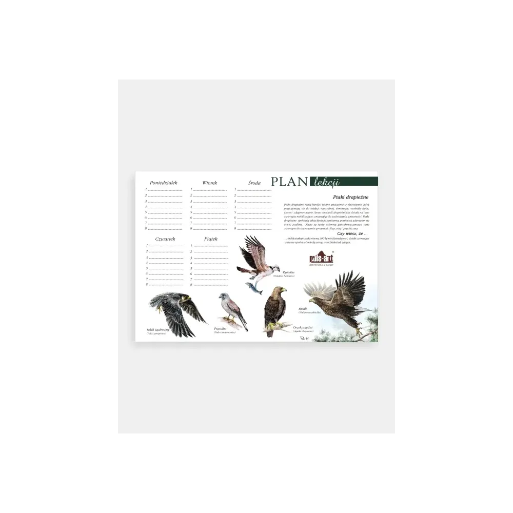 Plan lekcji PTAKI DRAPIEŻNE - Odkryj fascynujący świat ptaków