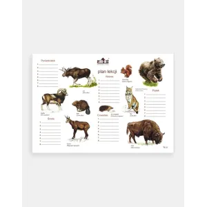Plan lekcji SSAKI - Poznaj fascynujący świat ssaków