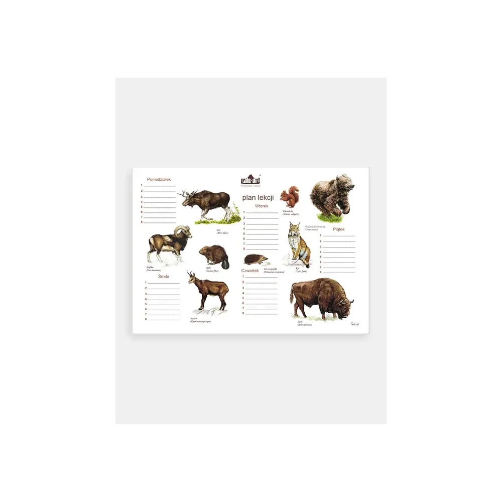 Plan lekcji SSAKI - Poznaj fascynujący świat ssaków