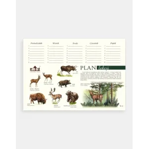 Plan lekcji Zwierzęta Lasu - Kreatywny sposób na naukę