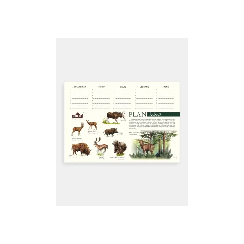 Plan lekcji Zwierzęta Lasu - Kreatywny sposób na naukę