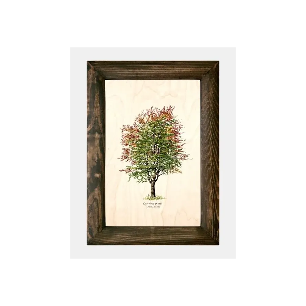 Galeria drzew na drewnie - Czereśnia ptasia - Ręcznie wykonane 