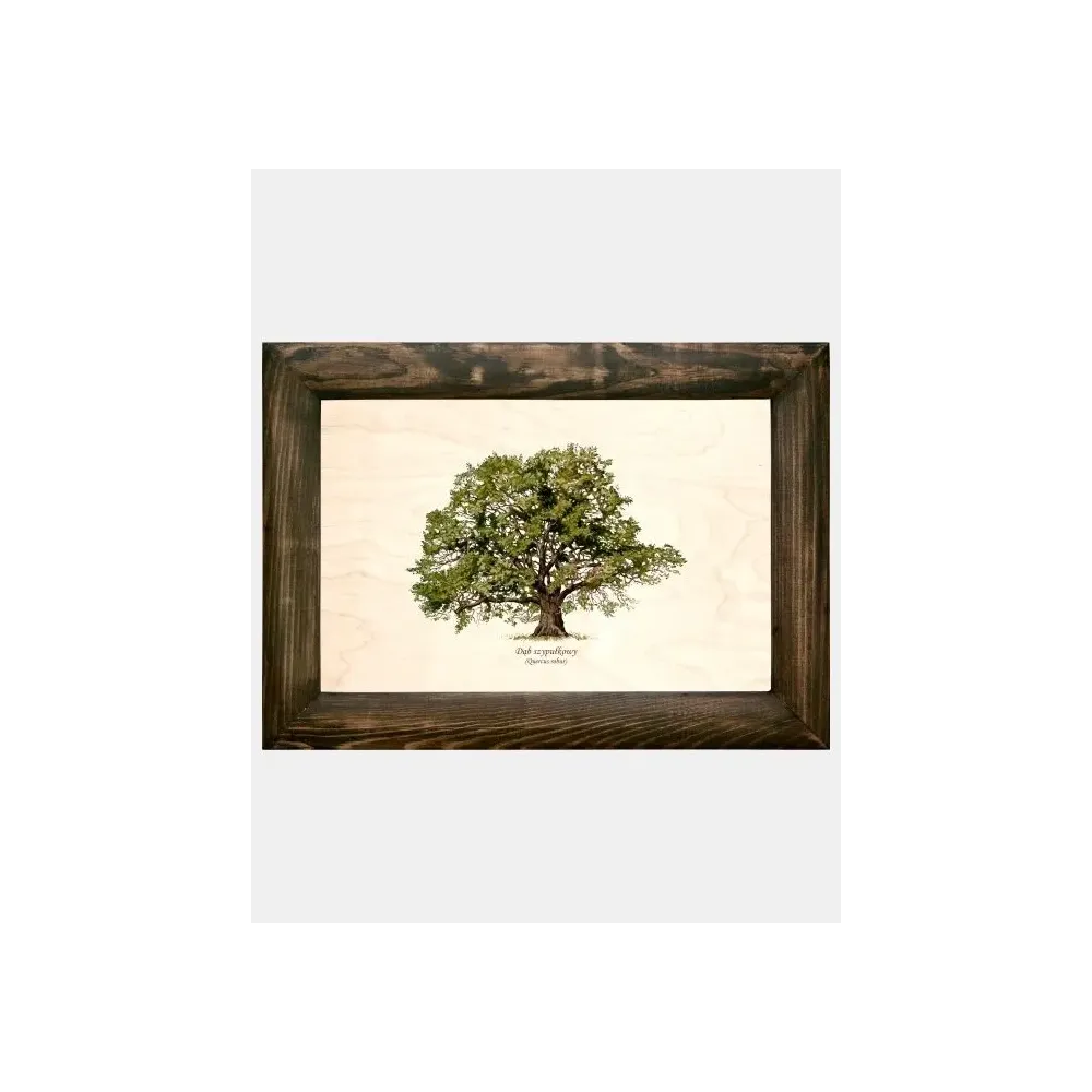 Galeria drzew na drewnie - Dąb szypułkowy | Wyjątkowe rzeźby 