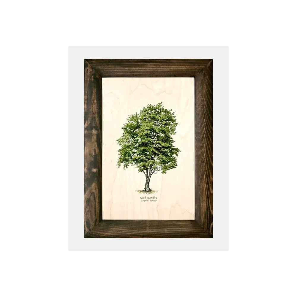 Galeria drzew na drewnie - Grab pospolity: Oryginalne rzeźby z g