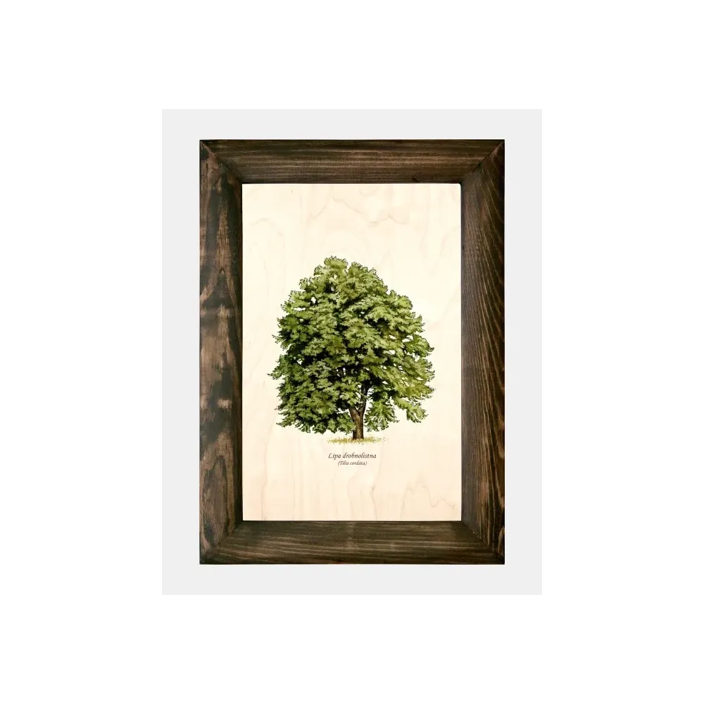 Galeria drzew na drewnie - Lipa drobnolistna | Unikalne ręcznie 