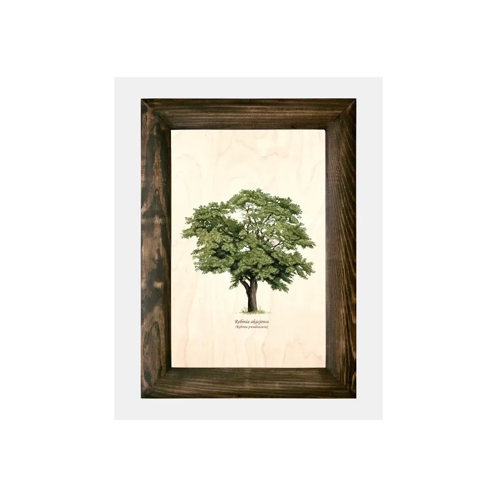 Galeria drzew na drewnie - Robinia akacjowa | Unikatowe rzeźby d