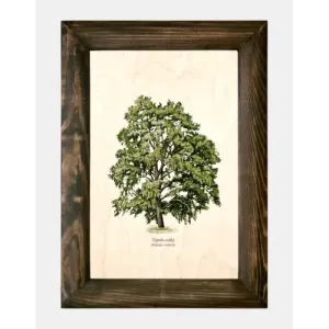 Galeria drzew na drewnie - Topola osika - Unikalne rzeźby artyst