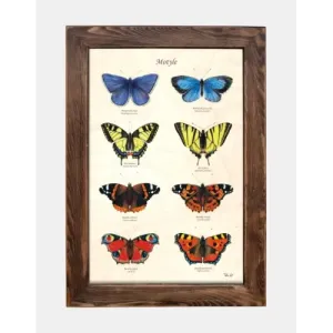 Tablica drewniana z motywem motyli - Wyjątkowa dekoracja wnętrz