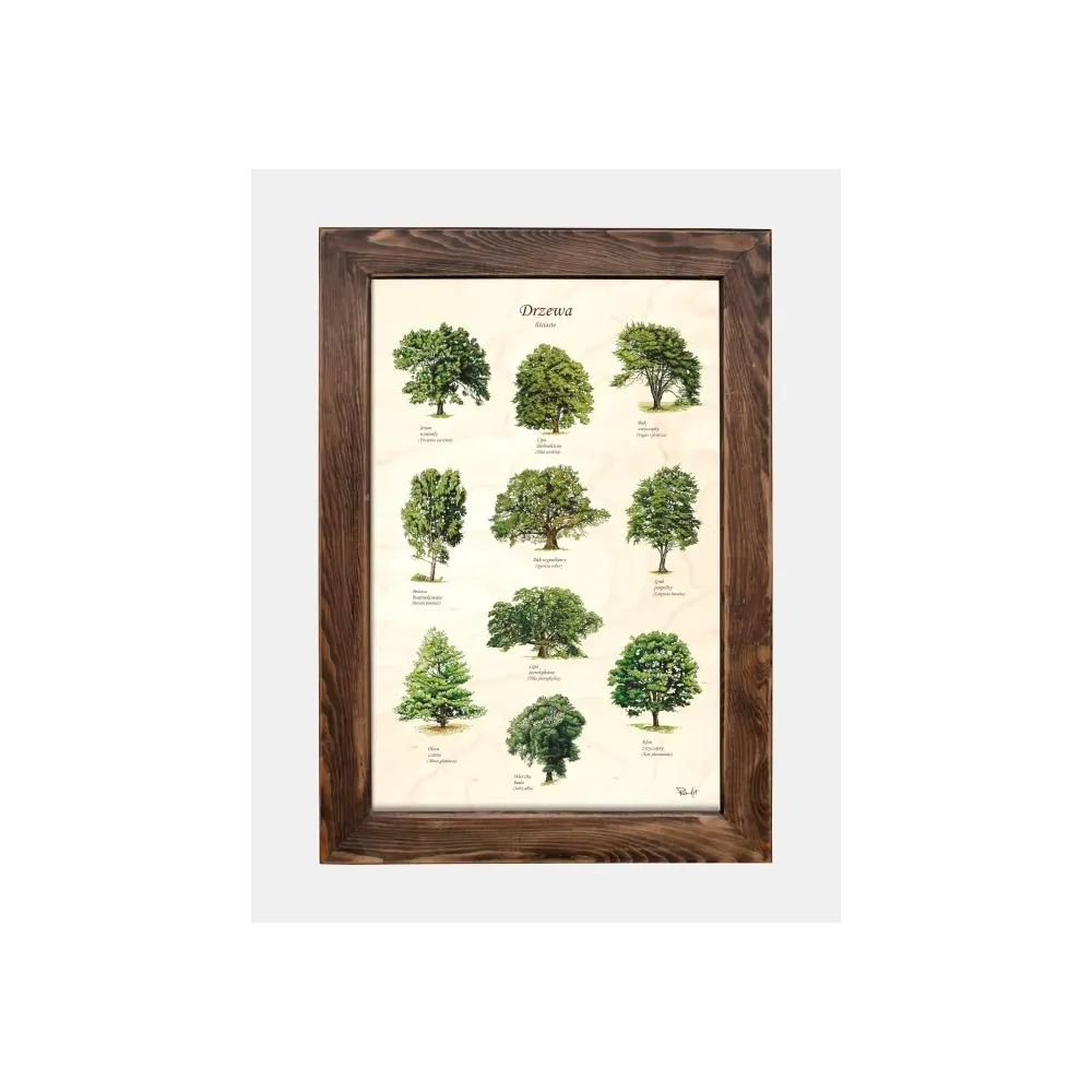 Tablica drewniana - Drzewa liściaste | Idealna dekoracja do wnę