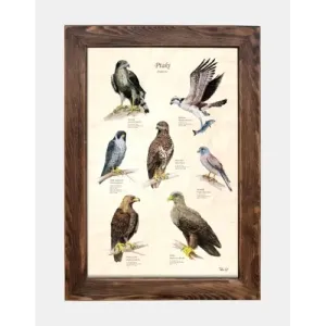 Tablica drewniana z ptakami drapieżnymi - Dekoracja ściany