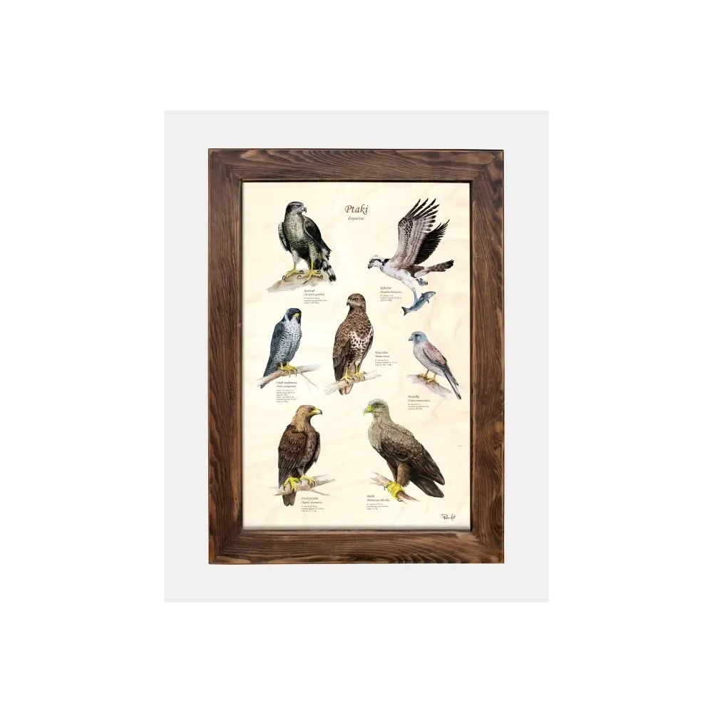 Tablica drewniana z ptakami drapieżnymi - Dekoracja ściany