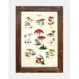 Tablica drewniana - Grzyby trujące do kuchni