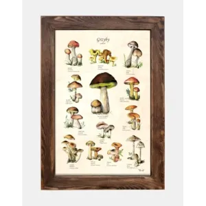 Tablica drewniana - Grzyby jadalne do kuchni