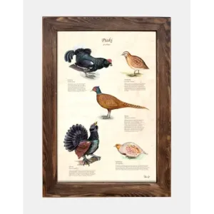 Tablica drewniana - Ptaki grzebiące | Piękna dekoracja do ogrod