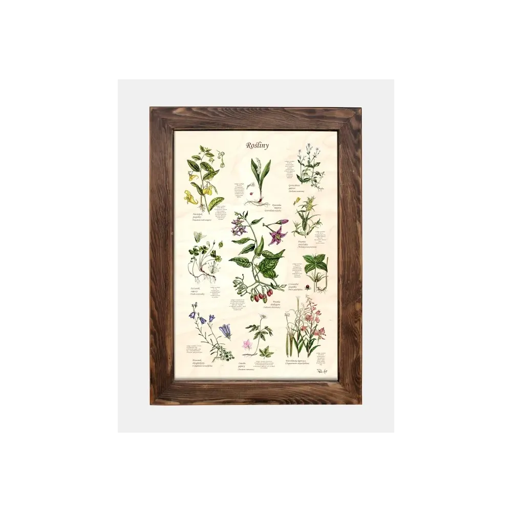 Tablica drewniana - Rośliny do dekoracji wnętrz