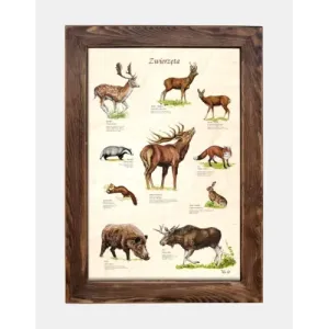 Tablica drewniana Zwierzęta V - Wyjątkowy dodatek do dziecięce