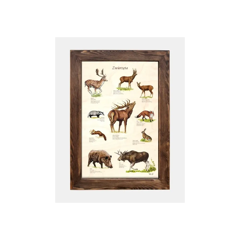 Tablica drewniana Zwierzęta V - Wyjątkowy dodatek do dziecięce