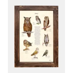 Tablica drewniana z uroczymi sowami - Idealna dekoracja dla dziec