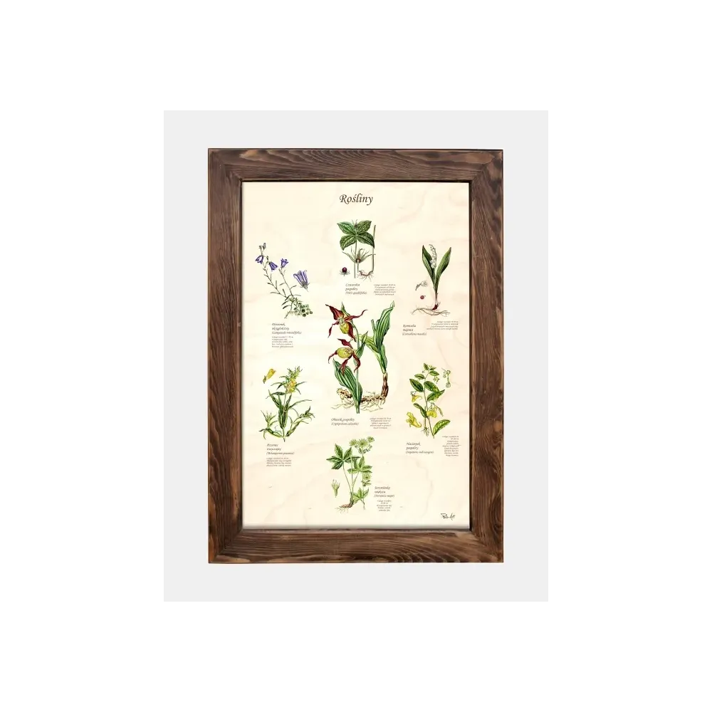 Tablica drewniana - Rośliny do dekoracji wnętrz