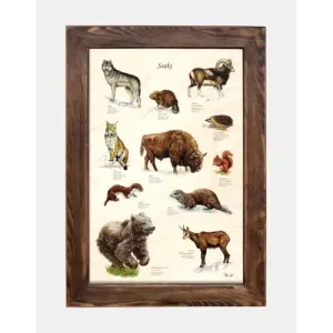 Tablica drewniana - Ssaki | Wyjątkowy design dla Twojego wnętrz