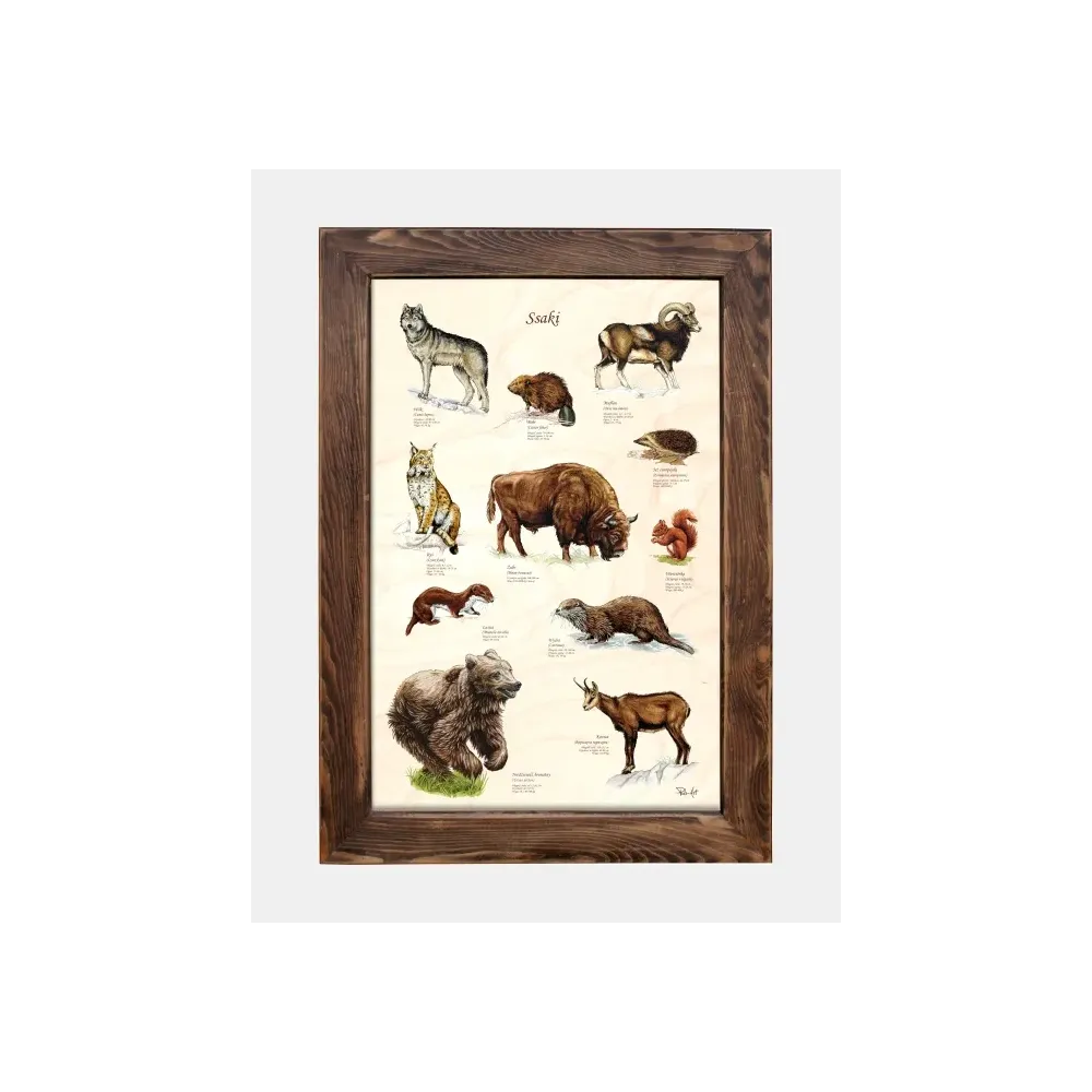 Tablica drewniana - Ssaki | Wyjątkowy design dla Twojego wnętrz