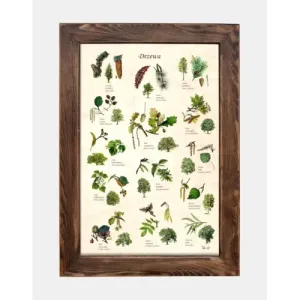 Piękna tablica drewniana z motywem drzew