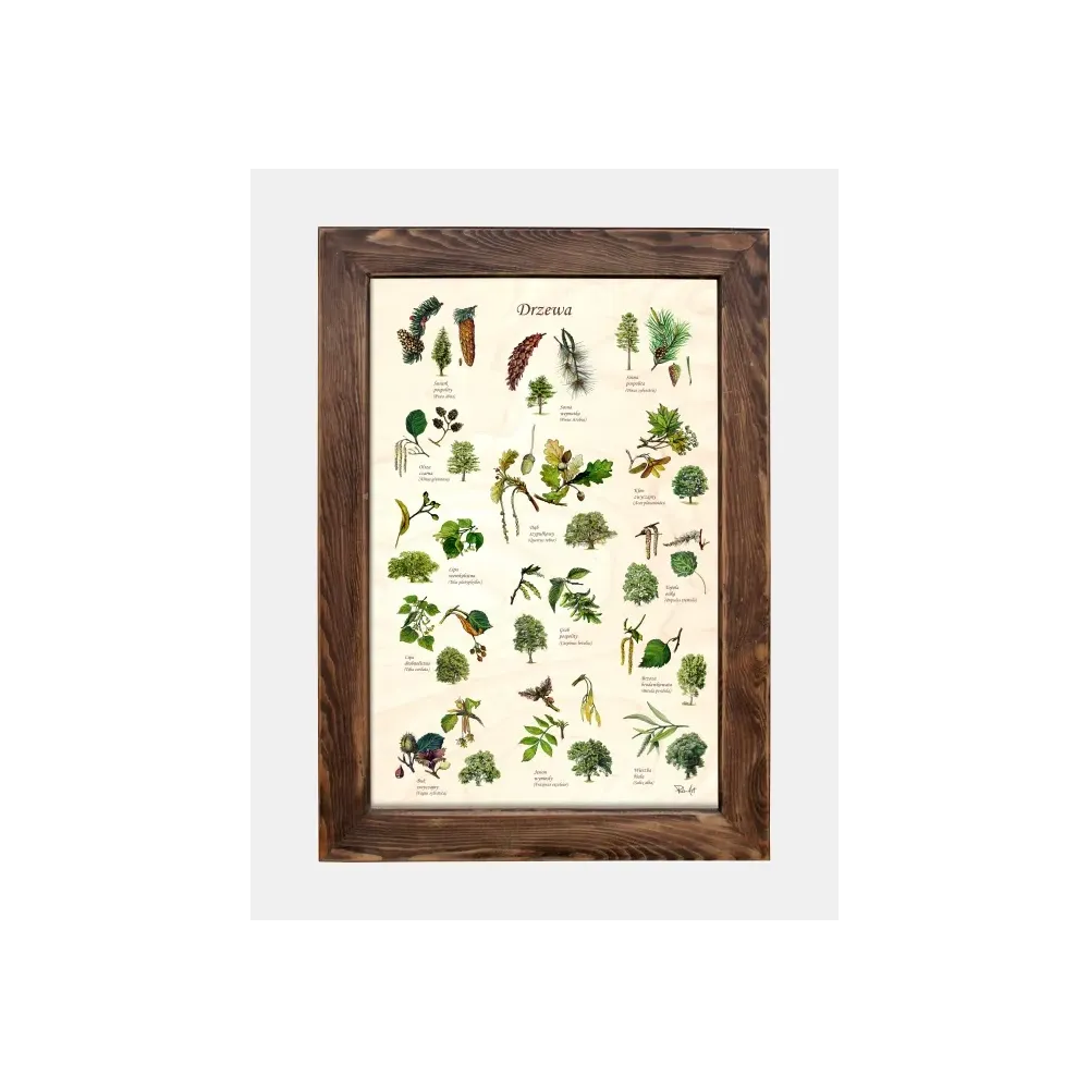 Piękna tablica drewniana z motywem drzew