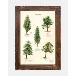 Tablica drewniana - Idealna dekoracja do wnętrza