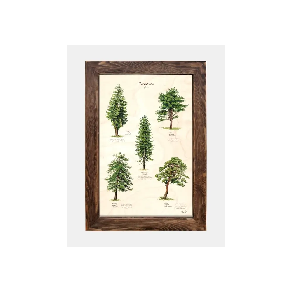 Tablica drewniana - Idealna dekoracja do wnętrza