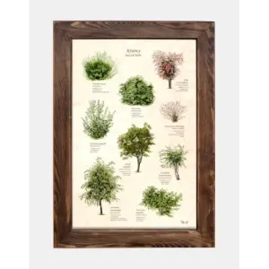 Tablica drewniana - Piękna tablica do notatek