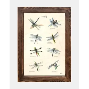 Tablica drewniana - Ważki do dekoracji wnętrz