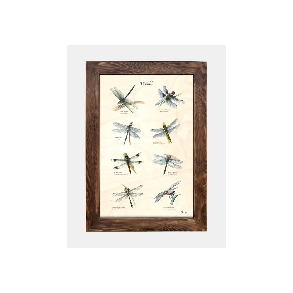 Tablica drewniana - Ważki do dekoracji wnętrz