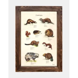 Tablica drewniana Zwierzęta IV - Wyjątkowy dodatek do dziecięc