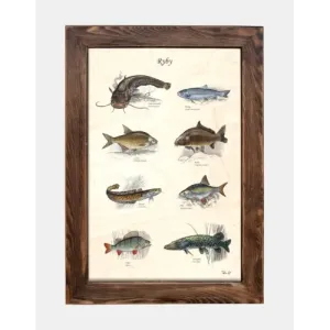 Tablica drewniana z motywem ryb - idealna dekoracja do wnętrza