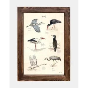 Tablica drewniana - Ptaki II | Piękna dekoracja do wnętrz