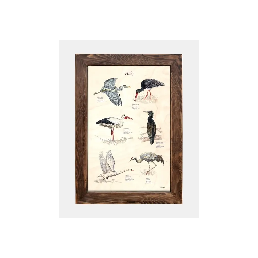 Tablica drewniana - Ptaki II | Piękna dekoracja do wnętrz