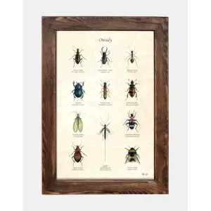 Tablica drewniana z unikalnym wzorem owadów - Idealna dekoracja 