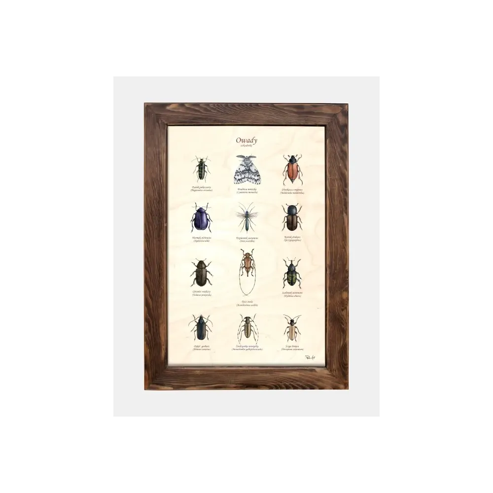 Tablica drewniana z motywem owadów szkodników - Idealna dekorac