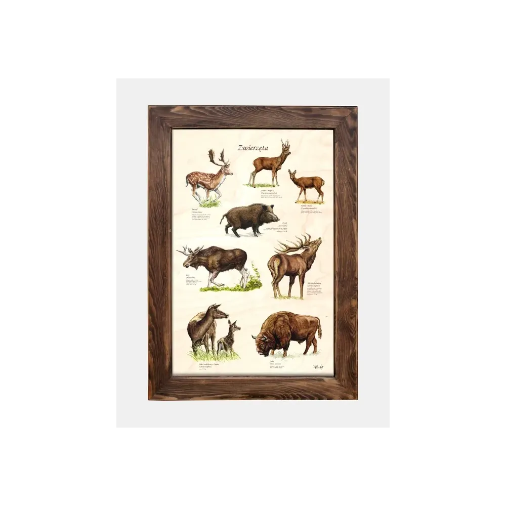 Tablica drewniana Zwierzęta III - Unikatowe ręcznie malowane oz