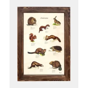 Tablica drewniana - Zwierzęta do dekoracji wnętrz