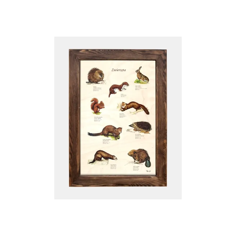 Tablica drewniana - Zwierzęta do dekoracji wnętrz